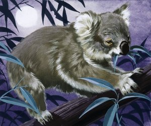 Koala i et tyggegummitræ af English School