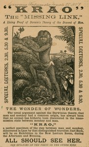 Krao, The Missing Link, udstillet på Aquarium, Westminster, London, i 1887 af English School