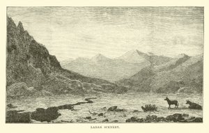 Ladak Landskab af English School