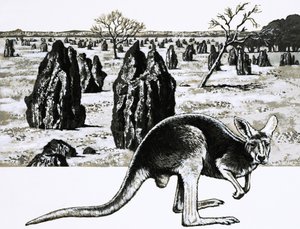 Store termithøje nær Darwin, Australien, og en kænguru i forgrunden af English School