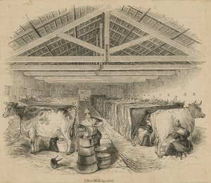 Laycocks Dairy Farm, dateret juli 1841 af English School