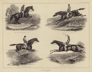 Springende (farve litho) af English School