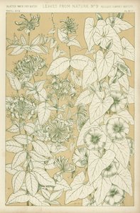 Blade fra naturen af English School