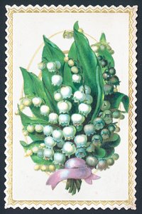 Liljekonval plante, kort af English School