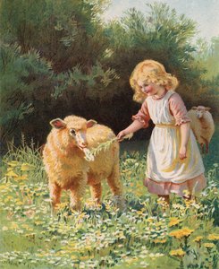 Lille pige fodrer en blomst til et får på en eng (chromolitho) af English School