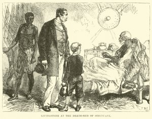 Livingstone ved Sebituane