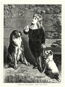 Schau dir diese Blase an, grün und rosa (Gravur) von English School