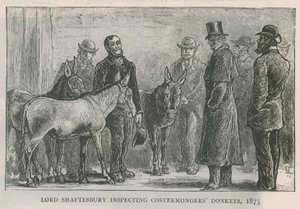 Lord Shaftesbury inspicerer æsler fra kosterhandlere af English School