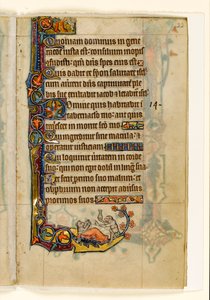 MS 1-2005, fol. 22r: Apedoktoren og hans bjørnepatient, marginaldekoration fra Macclesfield Psalter, Use of Sarum, East Anglia, ca. 1330 af English School