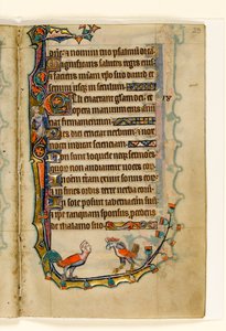 MS 1-2005, fol. 29r: Two Bird like grotesques, randdekoration fra Macclesfield Psalter, Use of Sarum, East Anglia, ca. 1330 af English School