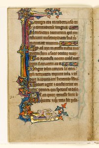 MS 1-2005, fol. 45v: En abe, der kigger på en mands bund, marginaldekoration fra Macclesfield Psalter, Use of Sarum, East Anglia, ca. 1330 af English School