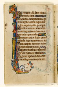 MS 1-2005, fol. 47v: En grotesk, marginal dekoration fra Macclesfield Psalter, Use of Sarum, East Anglia, ca. 1330 af English School