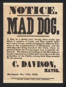 Mad hundemeddelelse, Hartlepool, 1843 af English School