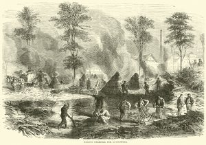 Fremstilling af trækul til krudt, oktober 1870 af English School