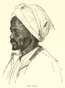 Male Nubian  af English School