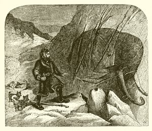 Mammoth i isen