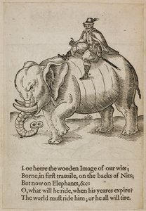 Mand rider på en elefant, illustration fra 