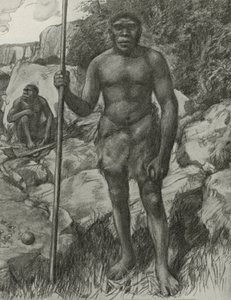 Mand hvis kranie blev opdaget i Rhodesia i 1921 af English School