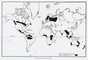 Karte der Waldgebiete (Lithografie)