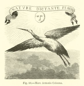 Marc Antonio Colonna af English School