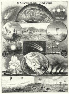 Marvels of Nature (gravering) af English School
