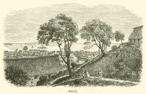 Træ af English School
