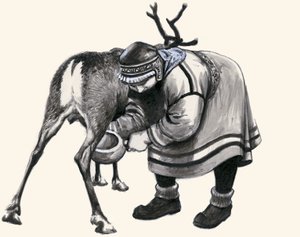 Malkning af et rensdyr af English School