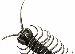 Tusindben af English School