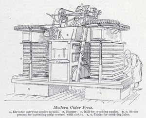 Moderner Apfelweinpresse