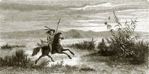 Mohave rytter af English School