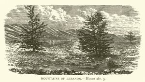 Libanons bjerge, Hosea, xiv, 5 (gravering) af English School