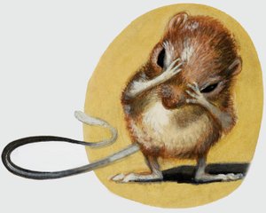 Mus af English School