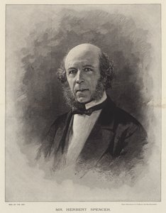 Herbert Spencer (gravering) af English School