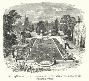 Mr Noel Humphreys dekorative geometriske blomstertank (gravering) af English School