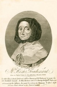 Fru Hester Tradescant af English School