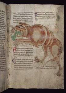 Ms.254 f.24 r Cocodrillus, der sluger en mand af English School