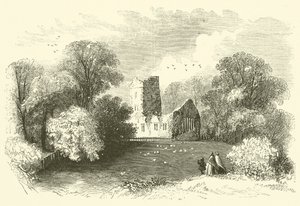 Mucruss Abbey (gravering) af English School