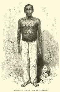 Mundrucu indianer fra Amazonas af English School
