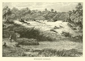 Murchison Katarakt af English School