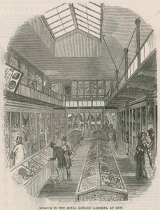 Museum i Royal Botanic Gardens i Kew af English School