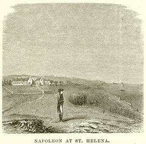 Napoleon ved Sankt Helena af English School
