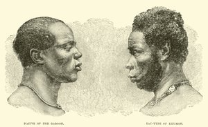 Native of the Gaboon; Tau-type of Kruman  af English School