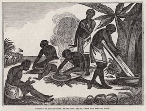 Indfødte fra Madagaskar ved tilberedning af brød af maniokrod (gravering) af English School