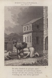 Nebukadnezzar, Daniel VI, ver 32 (gravering) af English School