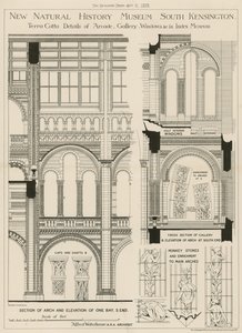 New Natural History Museum, South Kensington, London af English School