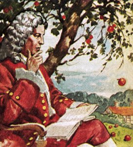 Newton ser æbler falde af English School