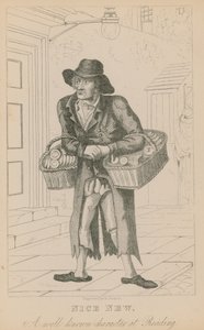 Nice New, en velkendt karakter hos Reading af English School