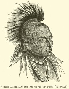 Nordamerikansk indisk ansigtstype, Ojibway af English School
