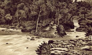 Nord-Devon: "The Watersmeet", Lynmouth (litografi) af English School