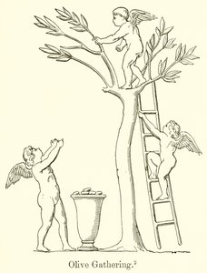 Olivensammenkomst af English School